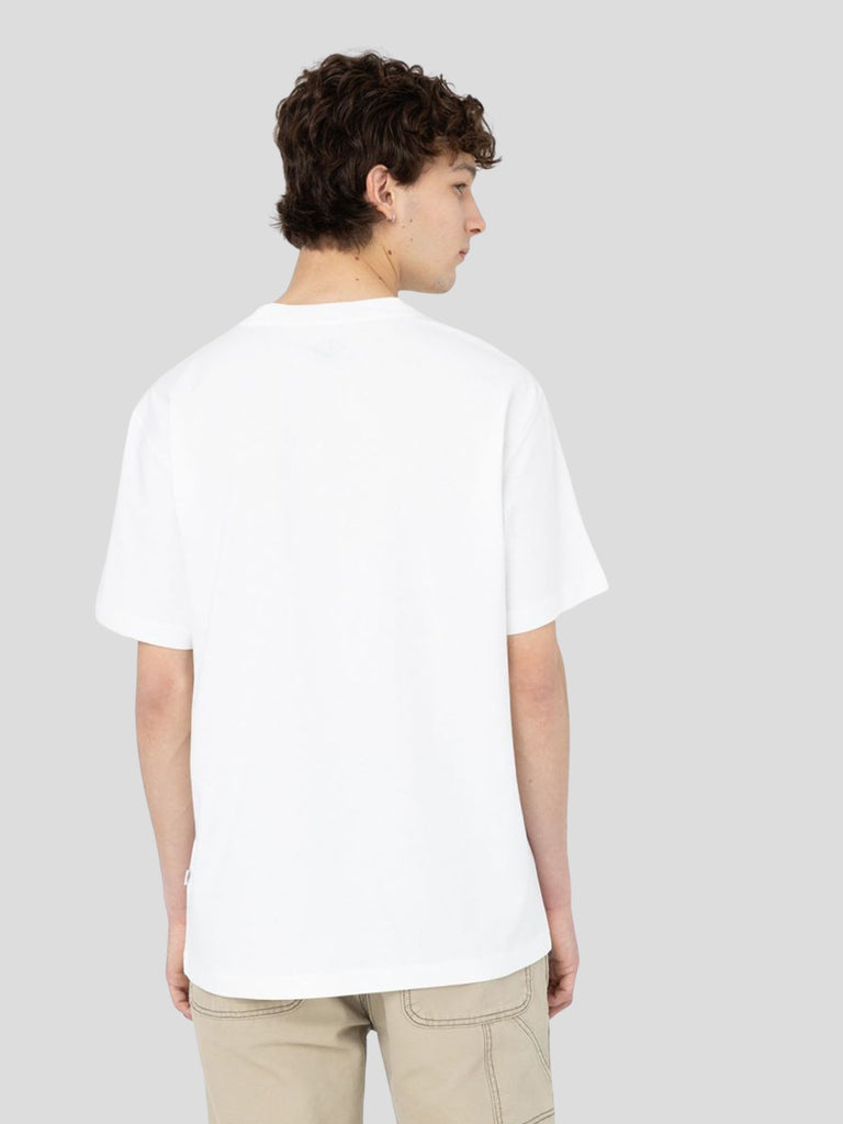 DICKIES 4YAIWHX1