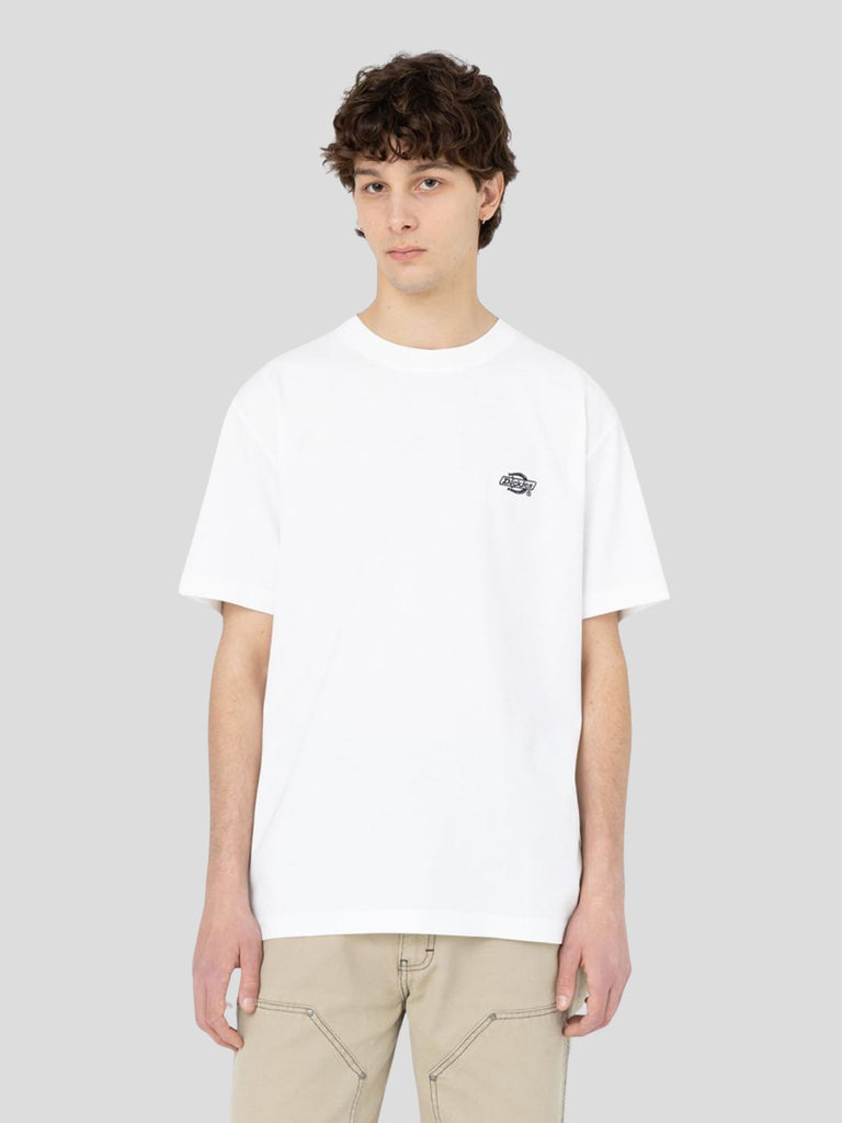 DICKIES 4YAIWHX1