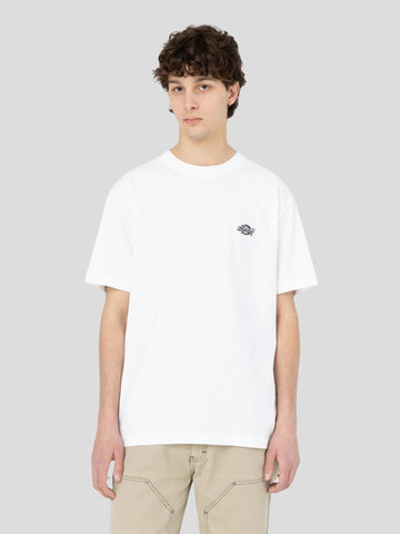 DICKIES 4YAIWHX1