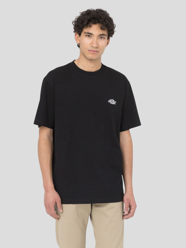 DICKIES 4YAIBLK1