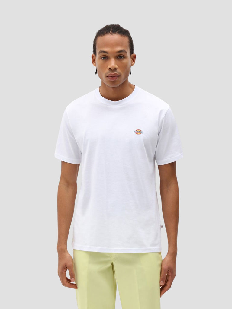 DICKIES 4XDBWHX1