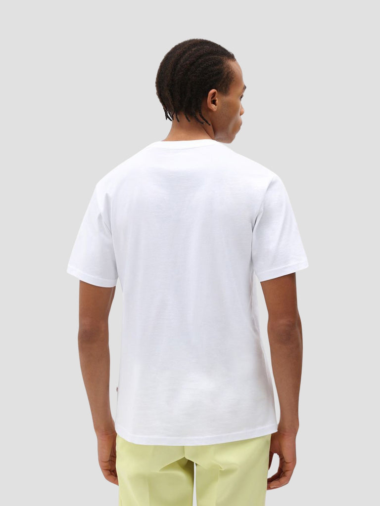 DICKIES 4XDBWHX1