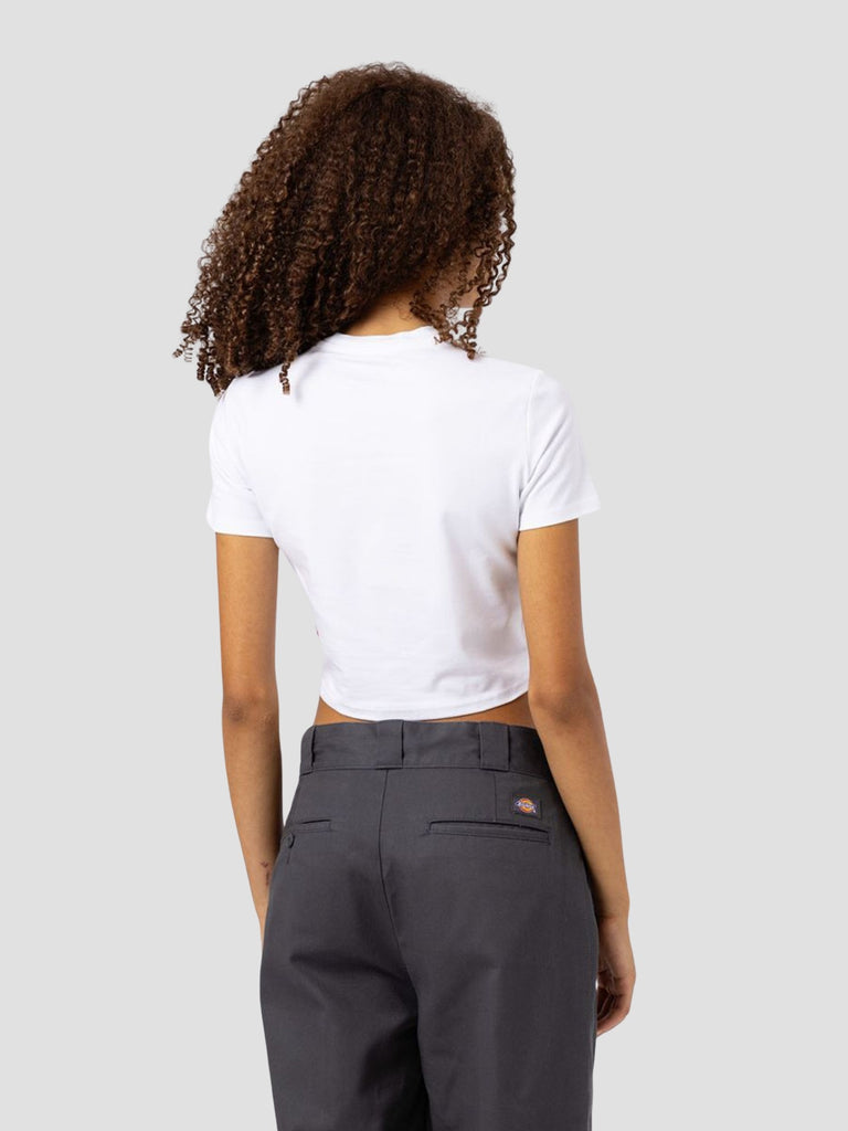 DICKIES 4XPOWHX1