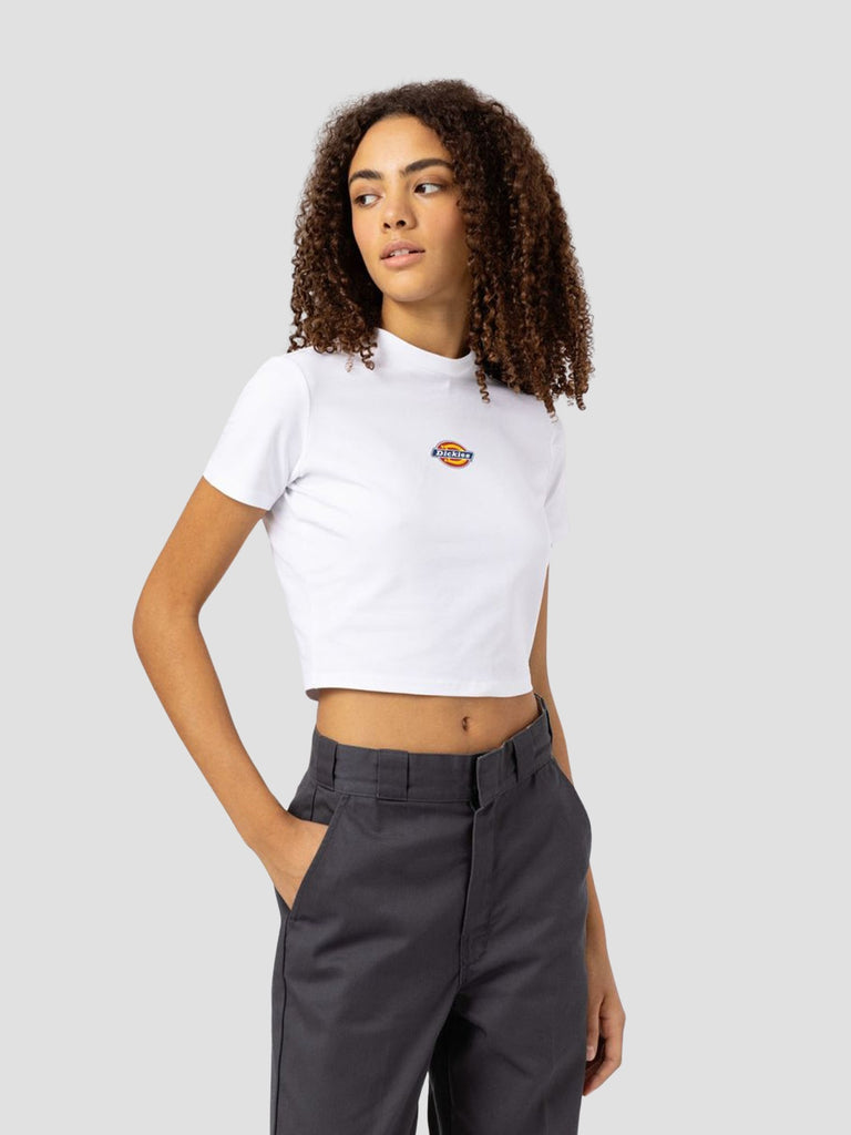 DICKIES 4XPOWHX1