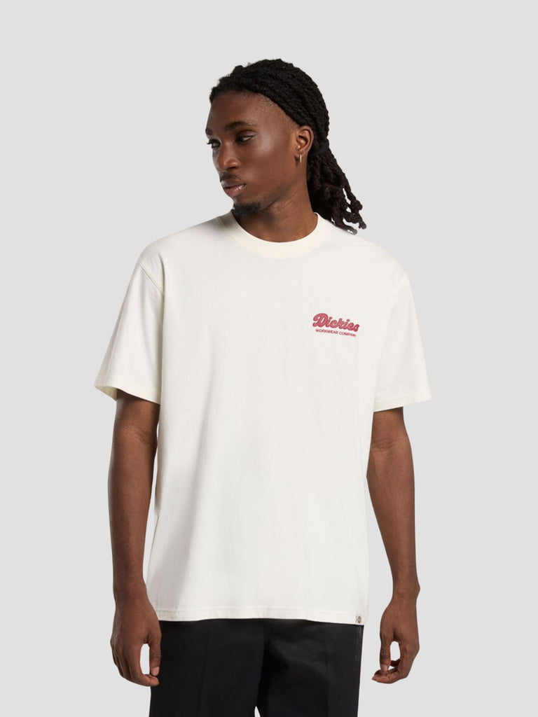 DICKIES 4Z8ZC481
