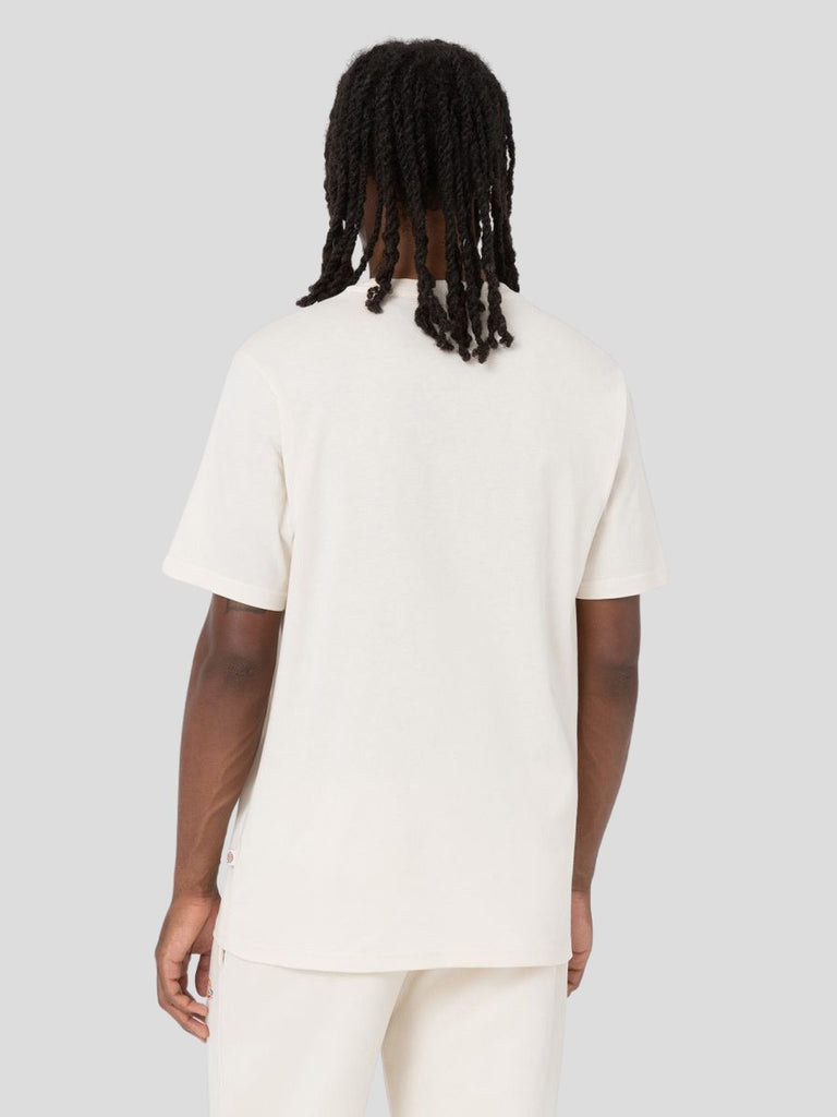 DICKIES 4XDBF901
