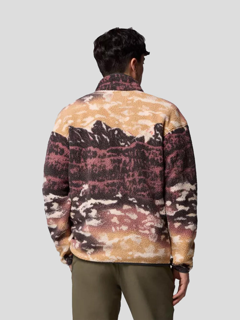 HELVETIA II PRINTED HALF 2098461 225 COLUMBIA 