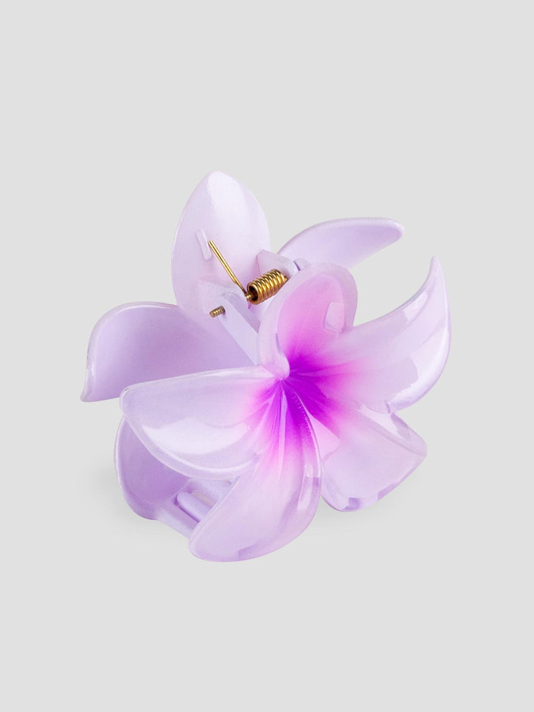 FLOWER GRO7533 PURPLE GROOVE 