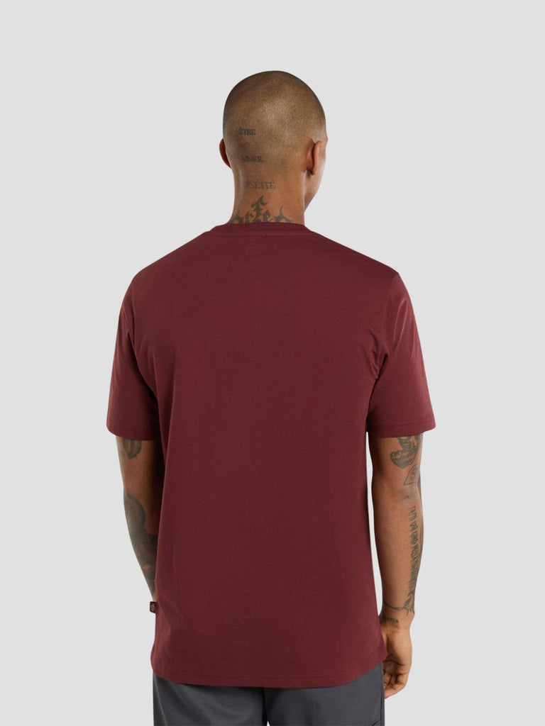 SS MAPLETON TEE 4XDB L161 DICKIES 