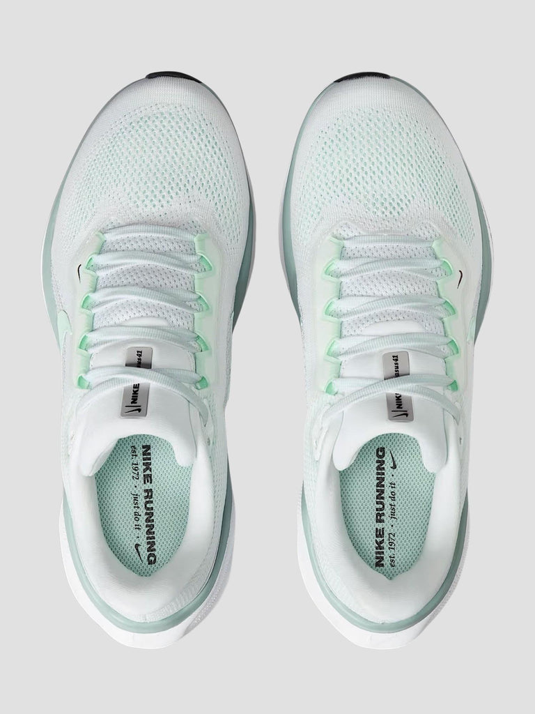 PEGASUS 41 FD2723 113 NIKE 