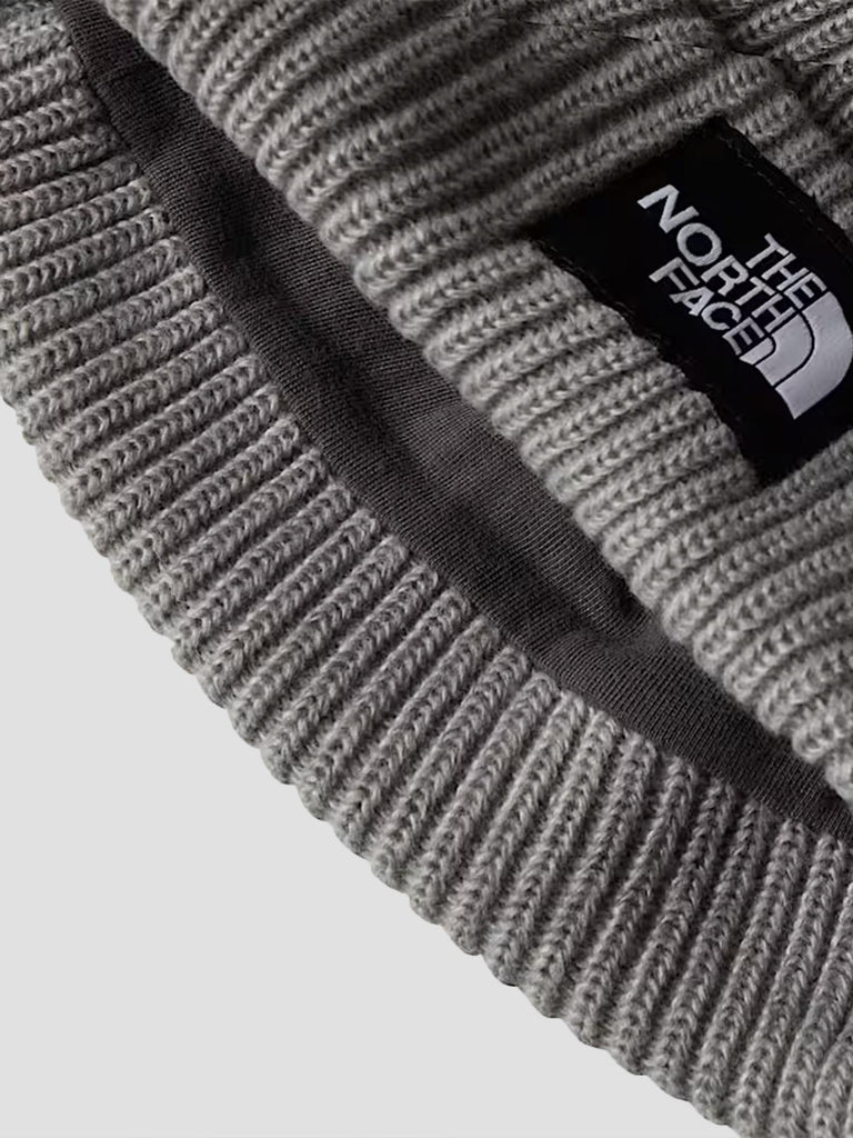 SALTY LINED BEANIE 8CGZ DYX1 THE NORTH FACE 