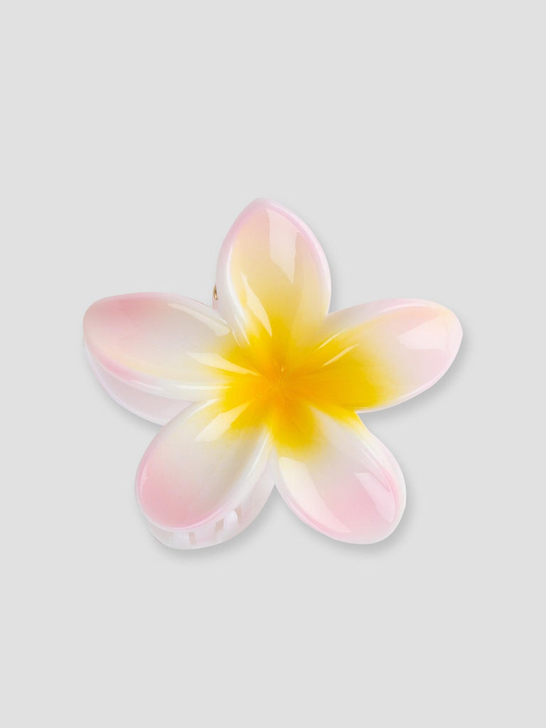 FLOWER GRO7531 PINK GROOVE 