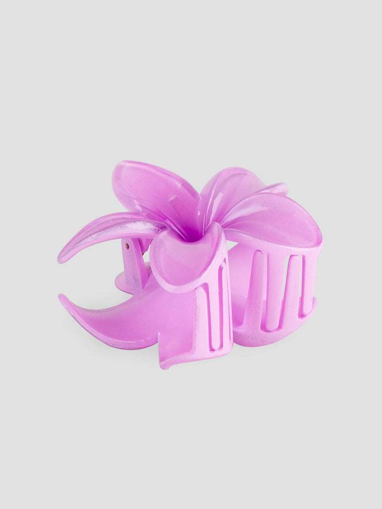 FLOWER GRO7532 PURPLE GROOVE 