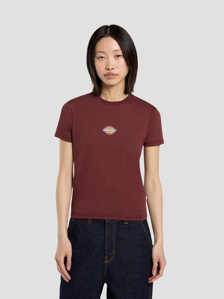 MAPLE VALLEY REG TEE 4ZAO L161 DICKIES 