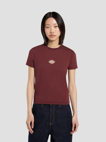 MAPLE VALLEY REG TEE 4ZAO L161 DICKIES 