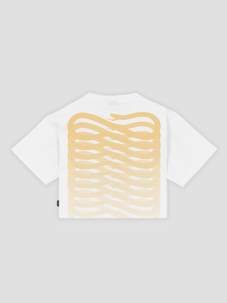 RIBS CROPPED TEE TS976 02 PROPAGANDA 
