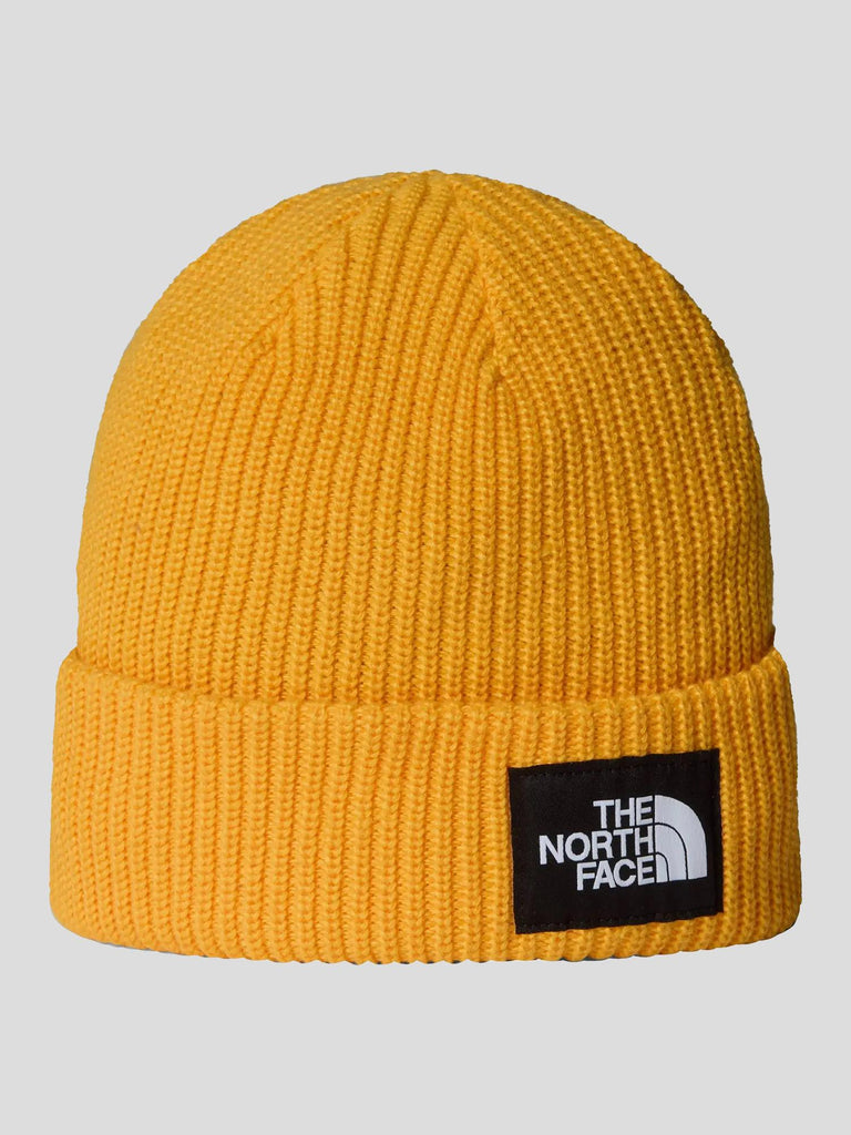 SALTY LINED BEANIE 8CGZ 56P1 THE NORTH FACE 