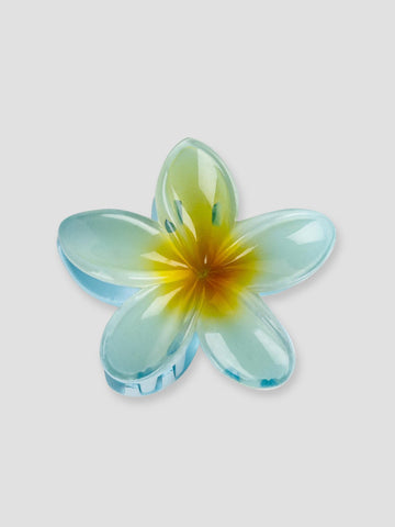 FLOWER GRO7522 SKY GROOVE 