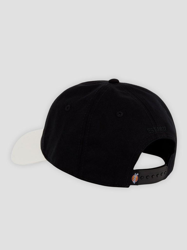 HARDWICK 2 TONE 4Z6L BLK1 DICKIES 