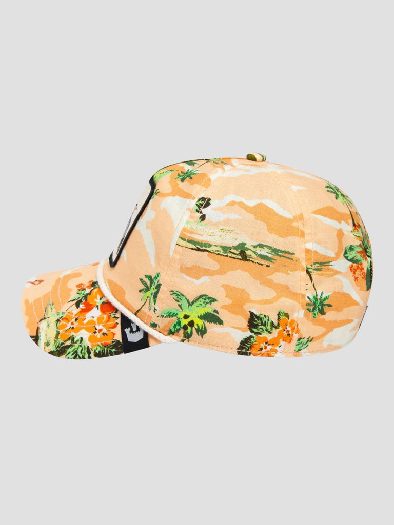 ANIMAL SERIES OVER IT SAND GOORIN 