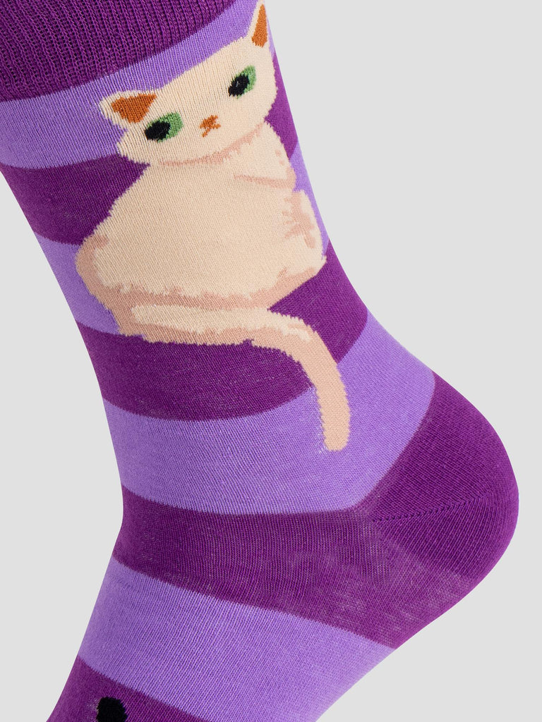 FANTASIA GRO1012 BIG CAT GROOVE 