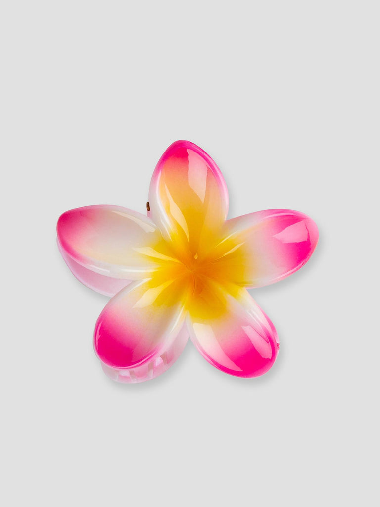 FLOWER GRO7531 FUXIA GROOVE 