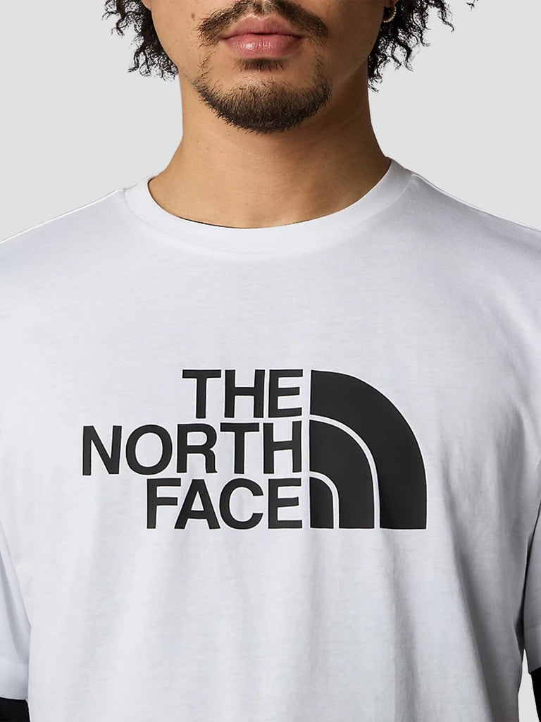 S/S EASY TEE 8A6C FN41 THE NORTH FACE 