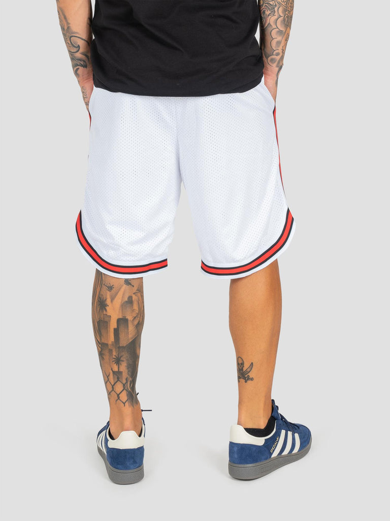 BASKETBALL SHORT MESH BANDE BSKSH001 WHITE GROOVE 