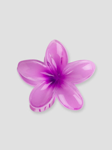 FLOWER GRO7532 PURPLE GROOVE 