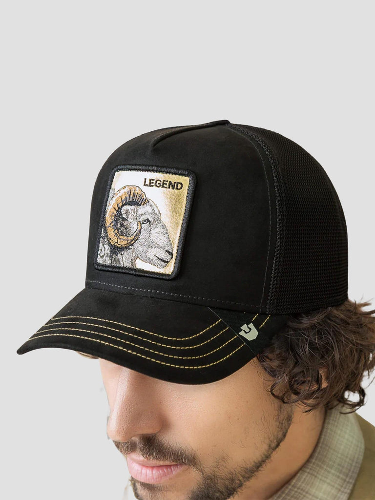 ANIMAL SERIES LEGEND GOLD VOID GOORIN 