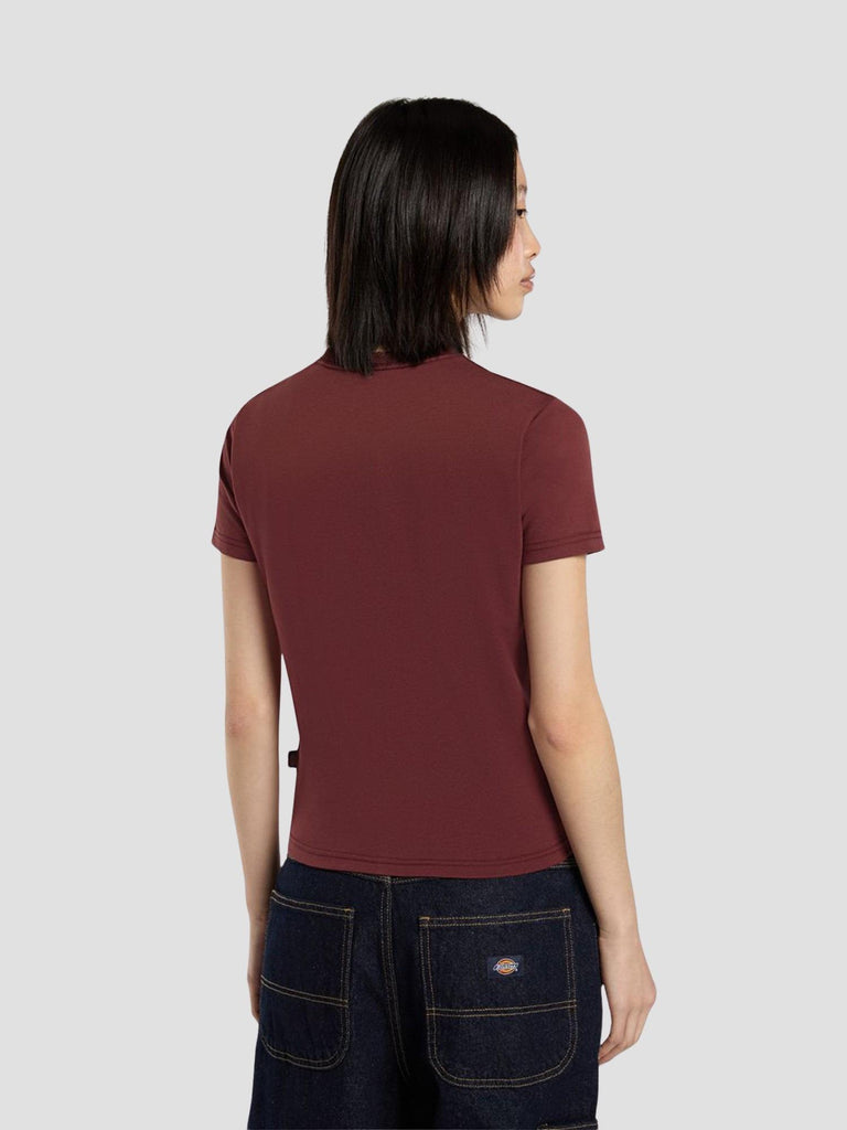 MAPLE VALLEY REG TEE 4ZAO L161 DICKIES 