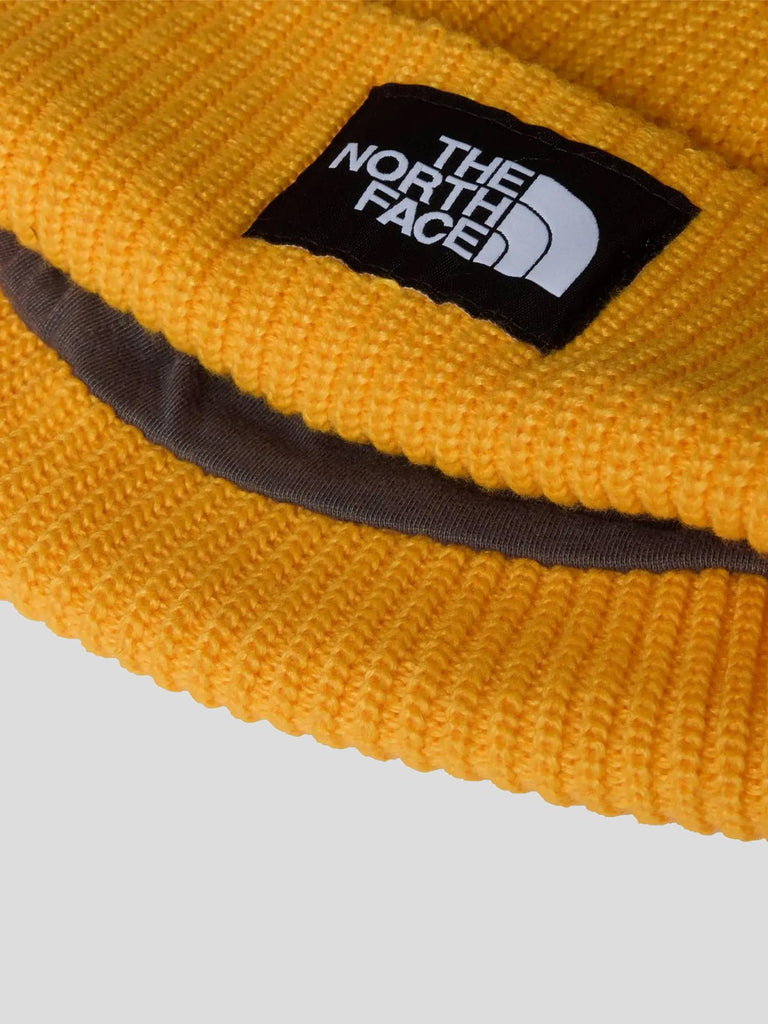 SALTY LINED BEANIE 8CGZ 56P1 THE NORTH FACE 