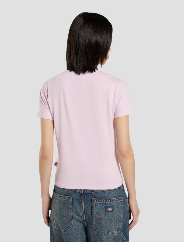 MAPLE VALLEY REG TEE 4ZAO K731 DICKIES 
