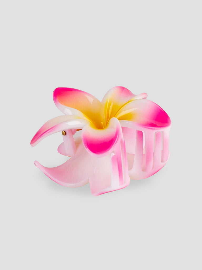 FLOWER GRO7531 FUXIA GROOVE 