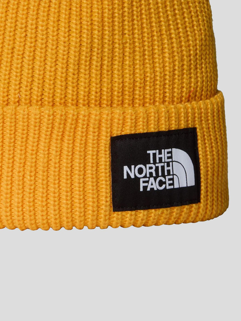 SALTY LINED BEANIE 8CGZ 56P1 THE NORTH FACE 