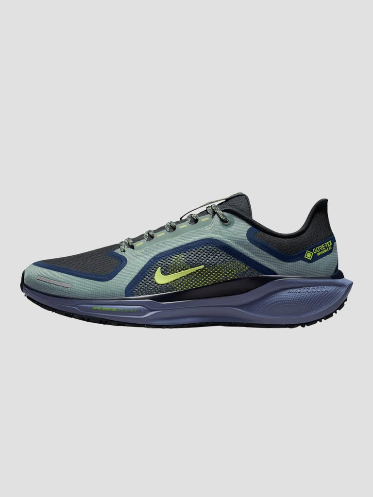 PEGASUS 41 GORE-TEX FQ1356 006 NIKE 