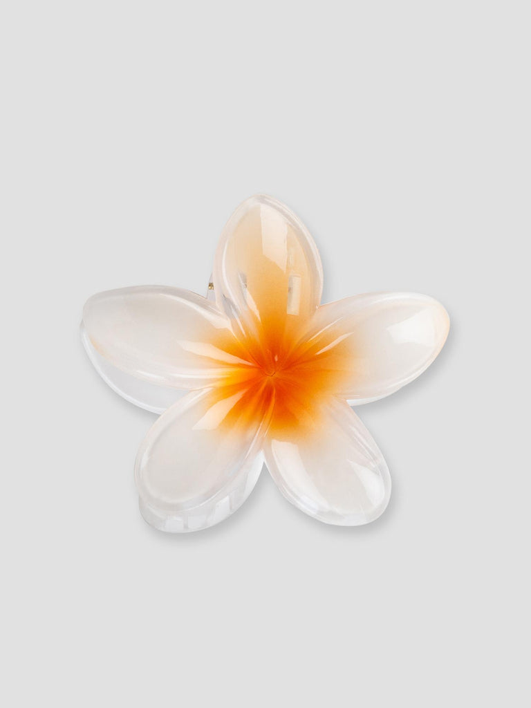 FLOWER GRO7532 WHITE ORANGE GROOVE 