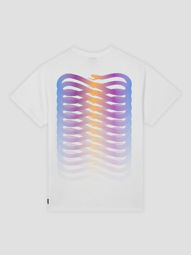 RIBS GRADIENT TEE TS858 02 PROPAGANDA 
