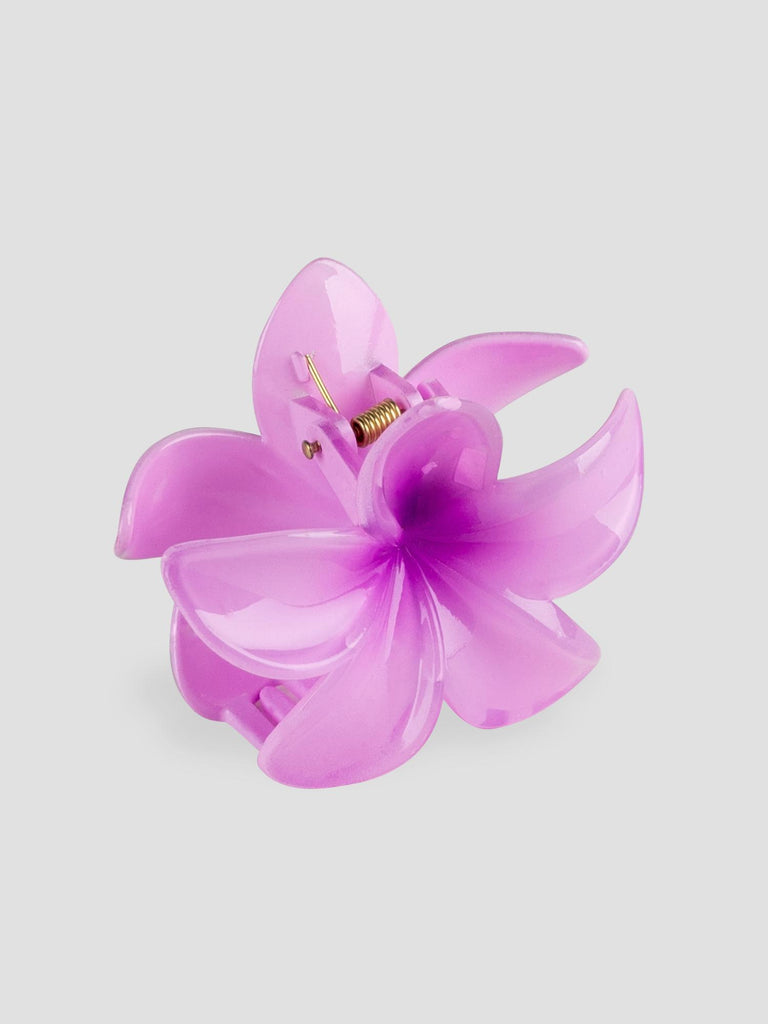 FLOWER GRO7532 PURPLE GROOVE 