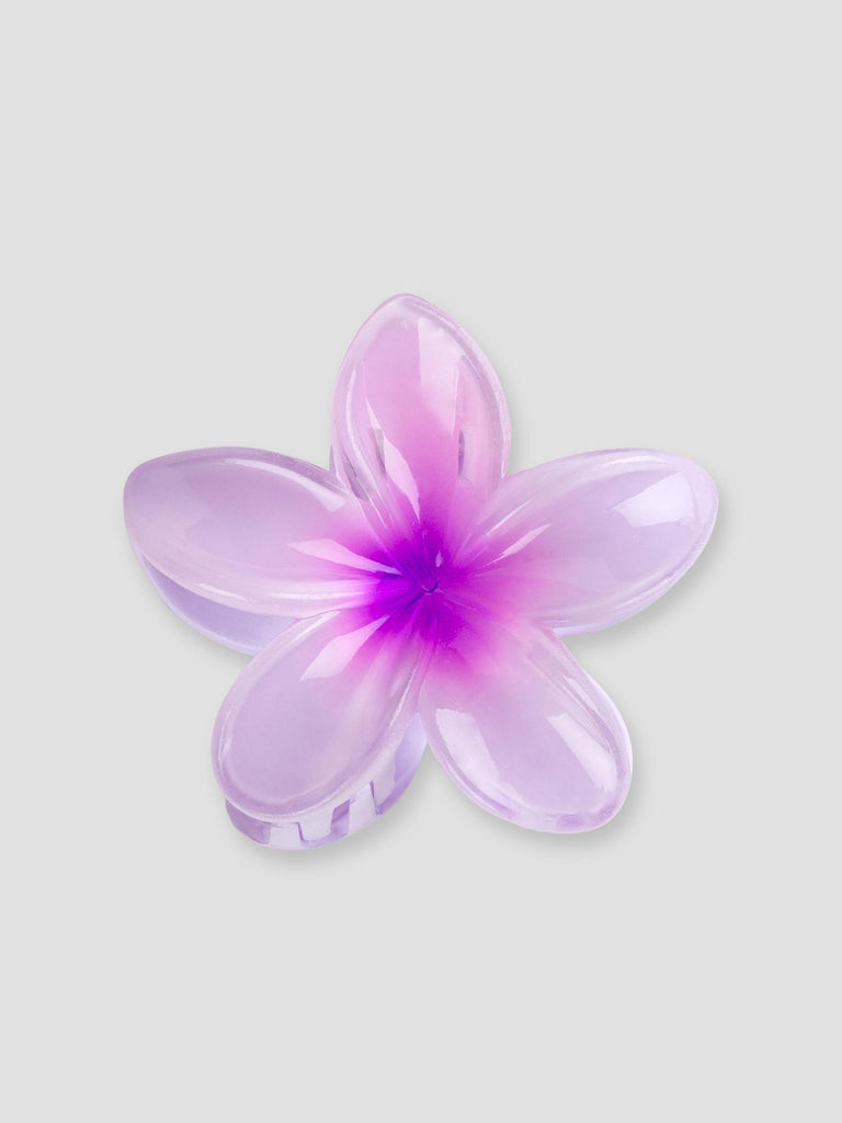 FLOWER GRO7533 PURPLE GROOVE 