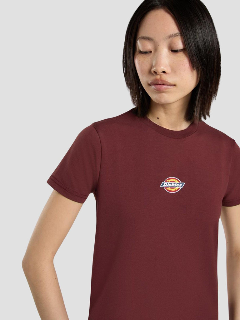 MAPLE VALLEY REG TEE 4ZAO L161 DICKIES 