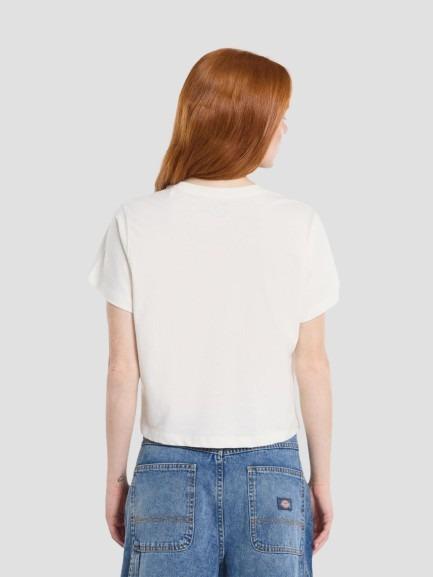 AITKIN TEE 4YS8 C481 DICKIES 