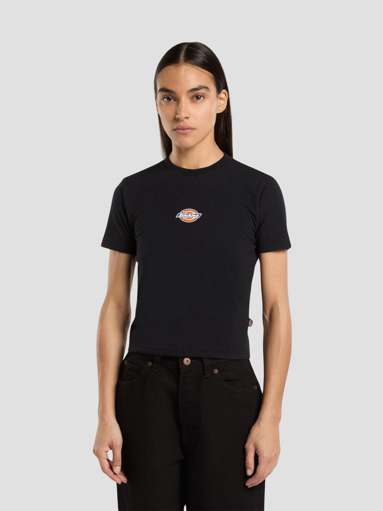MAPLE VALLEY REG TEE 4ZAO BLK1 DICKIES 