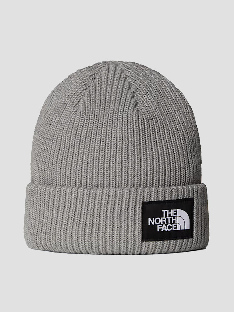SALTY LINED BEANIE 8CGZ DYX1 THE NORTH FACE 