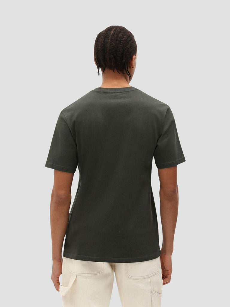 SS MAPLETON TEE 4XDB OGX1 DICKIES 