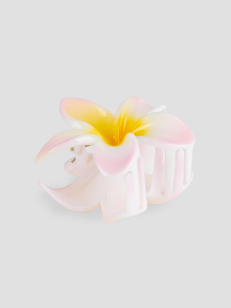 FLOWER GRO7531 PINK GROOVE 