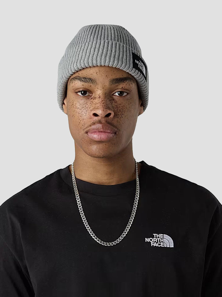 SALTY LINED BEANIE 8CGZ DYX1 THE NORTH FACE 